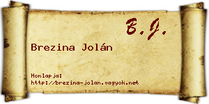 Brezina Jolán névjegykártya